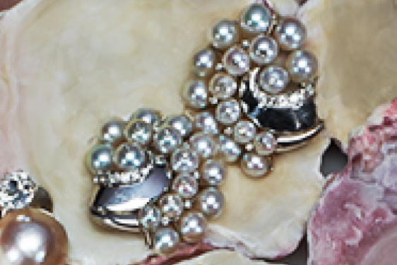 Pearl and Diamond Earrings in White Gold
